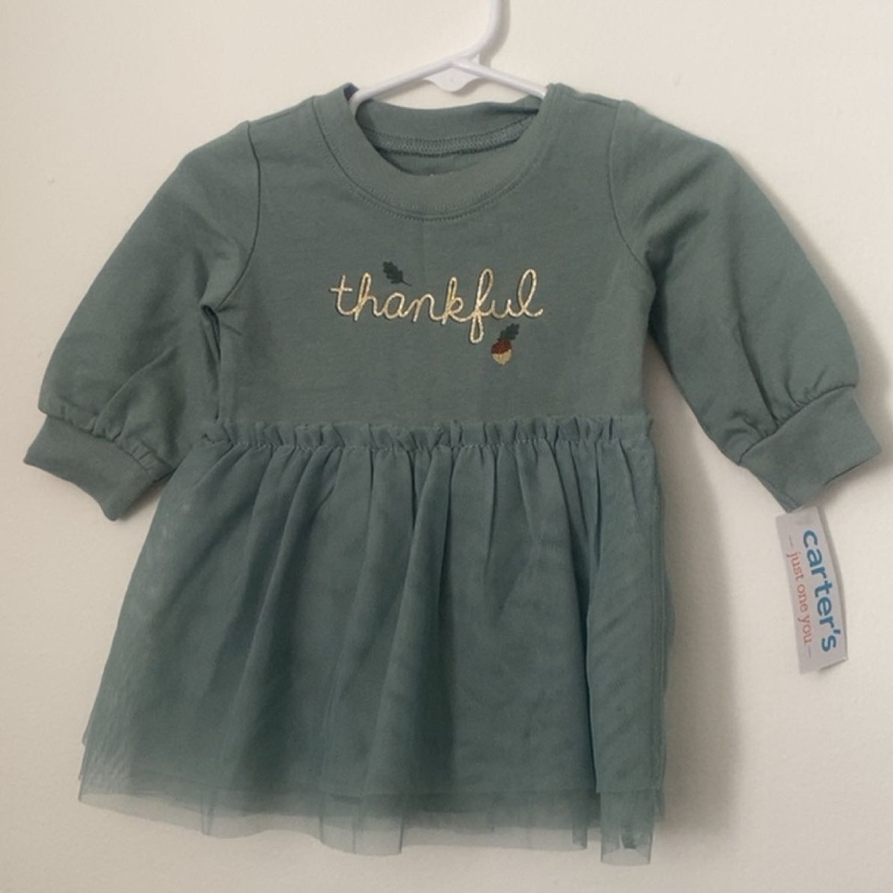 Carter's Green Thankful Dress